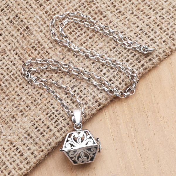 Alternate image for Hand Crafted Sterling Silver Locket Necklace Lucky Locket