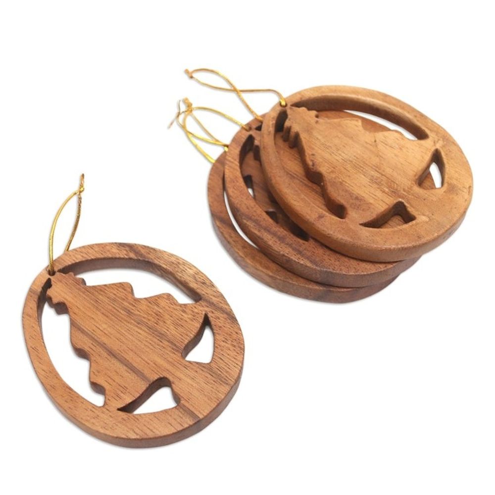 Alternate item image