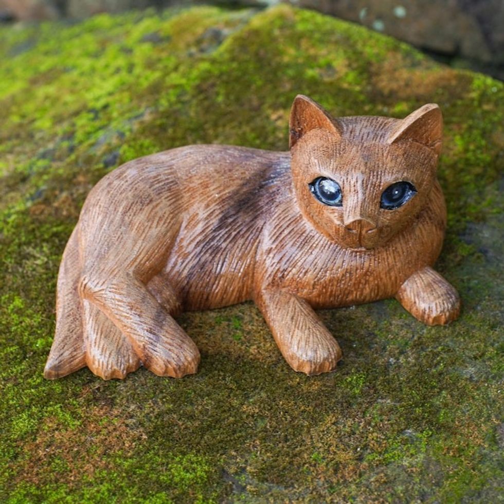 Balinese Suar Wood Cat Statuette 'Wide-Eyed Cat'