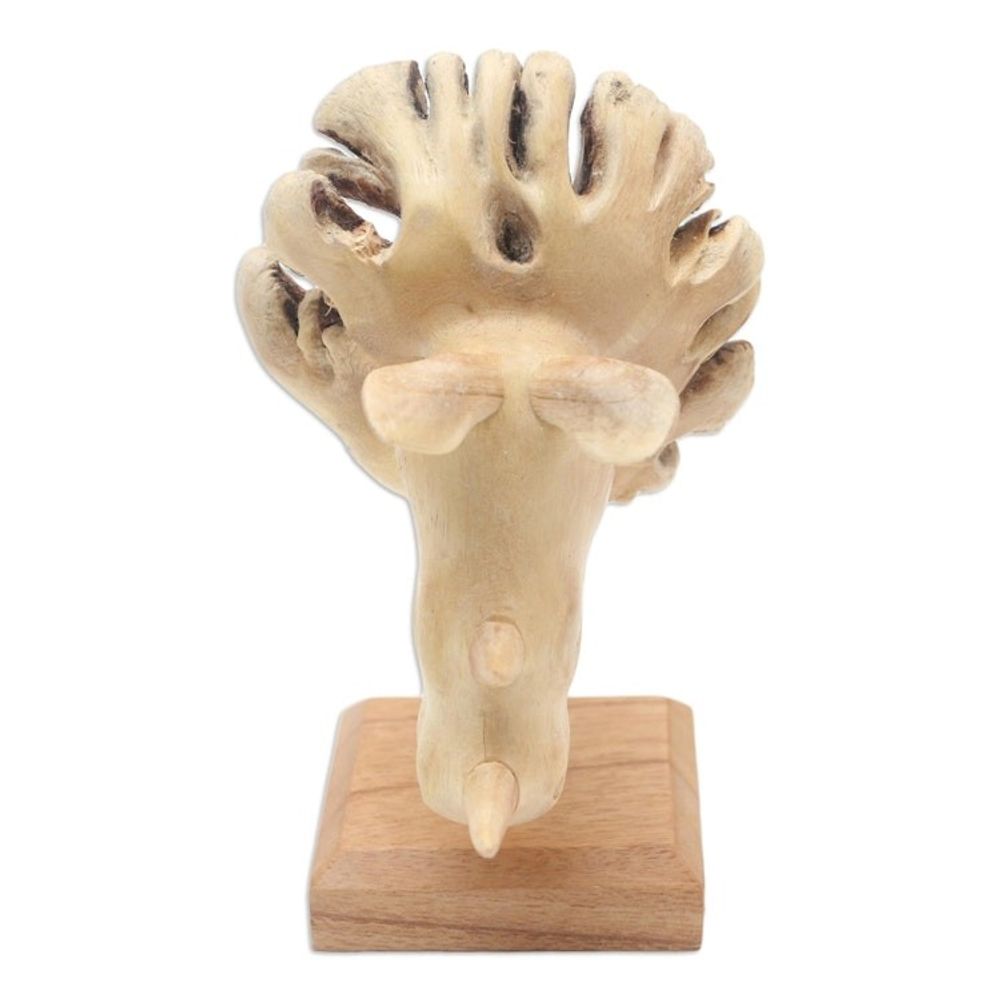 Alternate item image