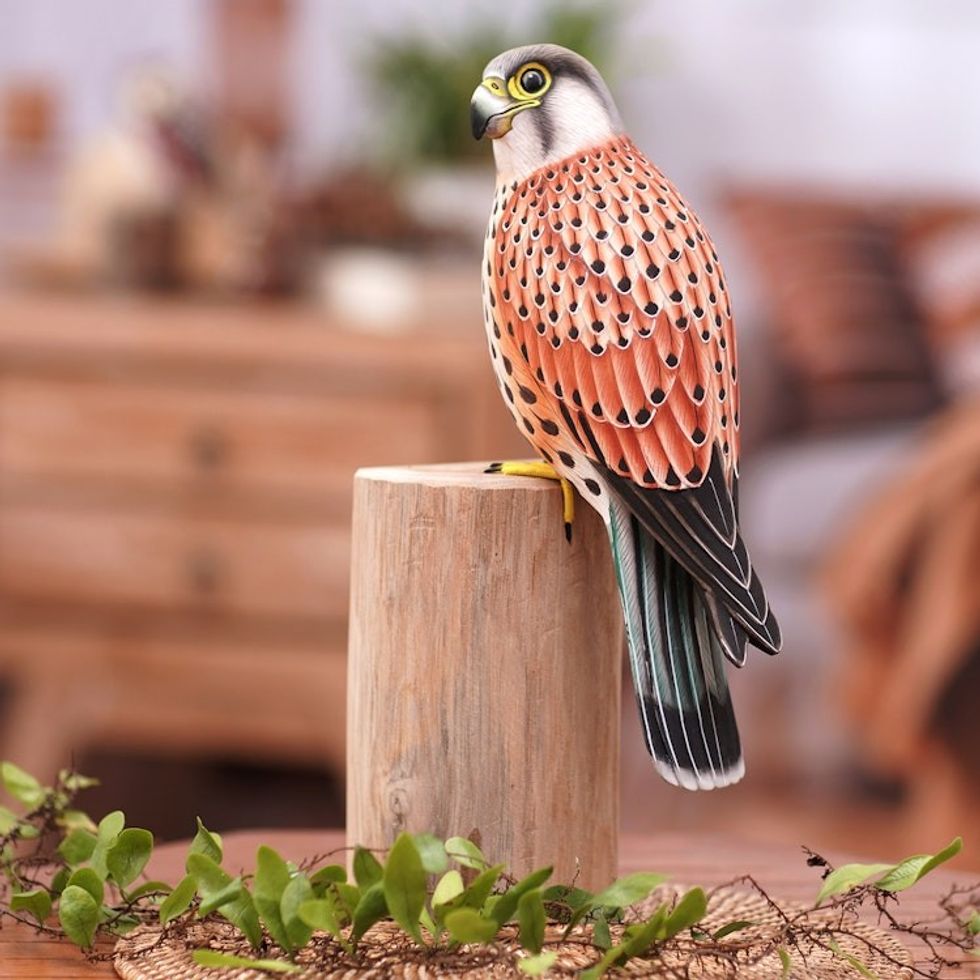 Handcrafted Suar Wood Kestrel Statuette 'Common Kestrel'