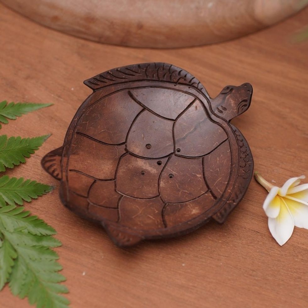 Artisan Carved Turtle-Themed Coconut Soap Holder from Bali 'Spotless Shell'