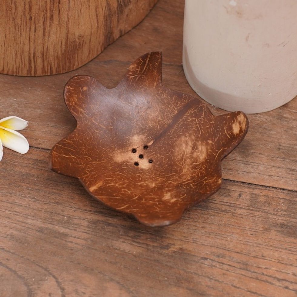 Coconut Shell Soap Dish with Turtle Motif 'Come Clean'