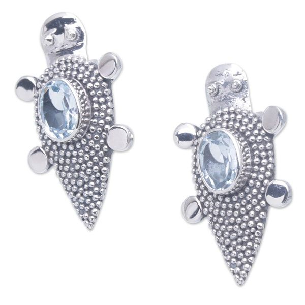 Alternate image for Sterling Silver Blue Topaz Tortoise Button Earrings Heavens Tortoise