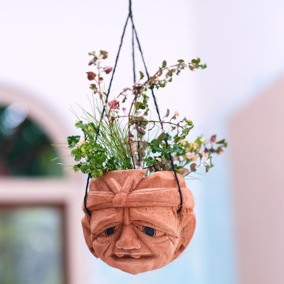 Carved Coconut Shell Hanging Planter 'Don't Worry'