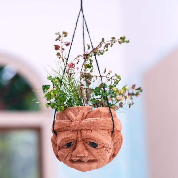 Alternate image for Carved Coconut Shell Hanging Planter Dont Worry