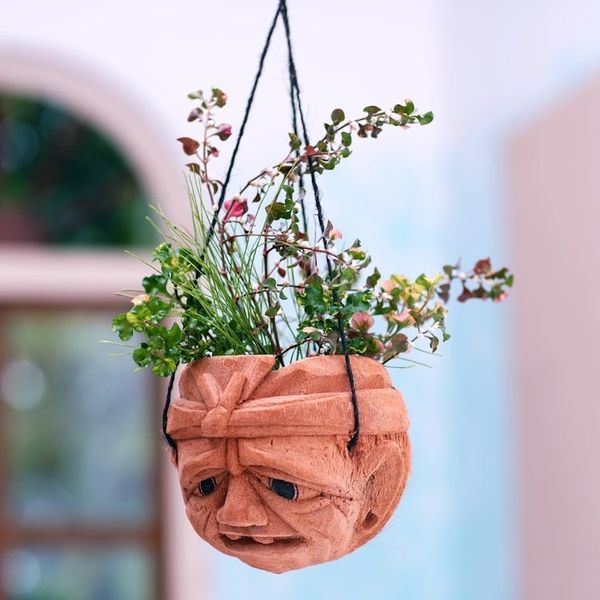 Alternate image for Carved Coconut Shell Hanging Planter Dont Worry