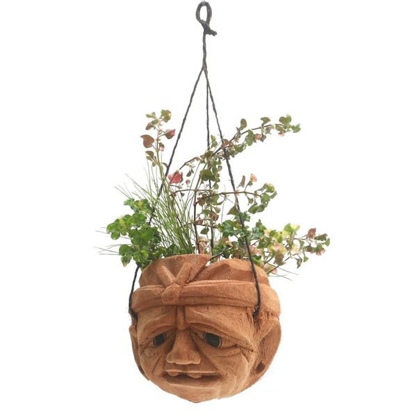 Alternate image for Carved Coconut Shell Hanging Planter Dont Worry
