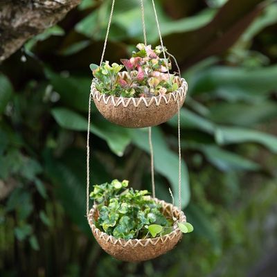 Main image for Handcrafted Coconut Shell Hanging Planter in a Natural Hue Natural Prosperity