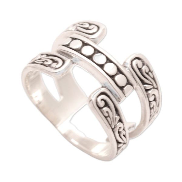 Alternate image for Polished Armadillo-Themed Sterling Silver Band Ring Armadillo Heaven