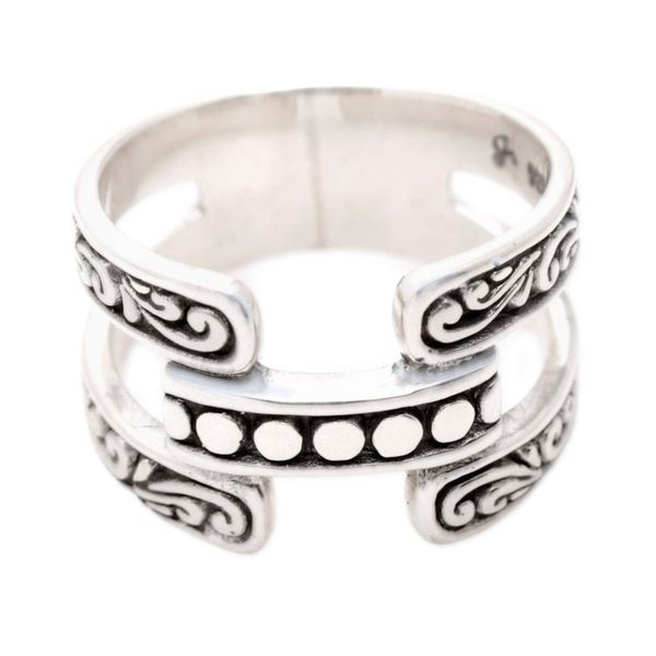 Alternate image for Polished Armadillo-Themed Sterling Silver Band Ring Armadillo Heaven