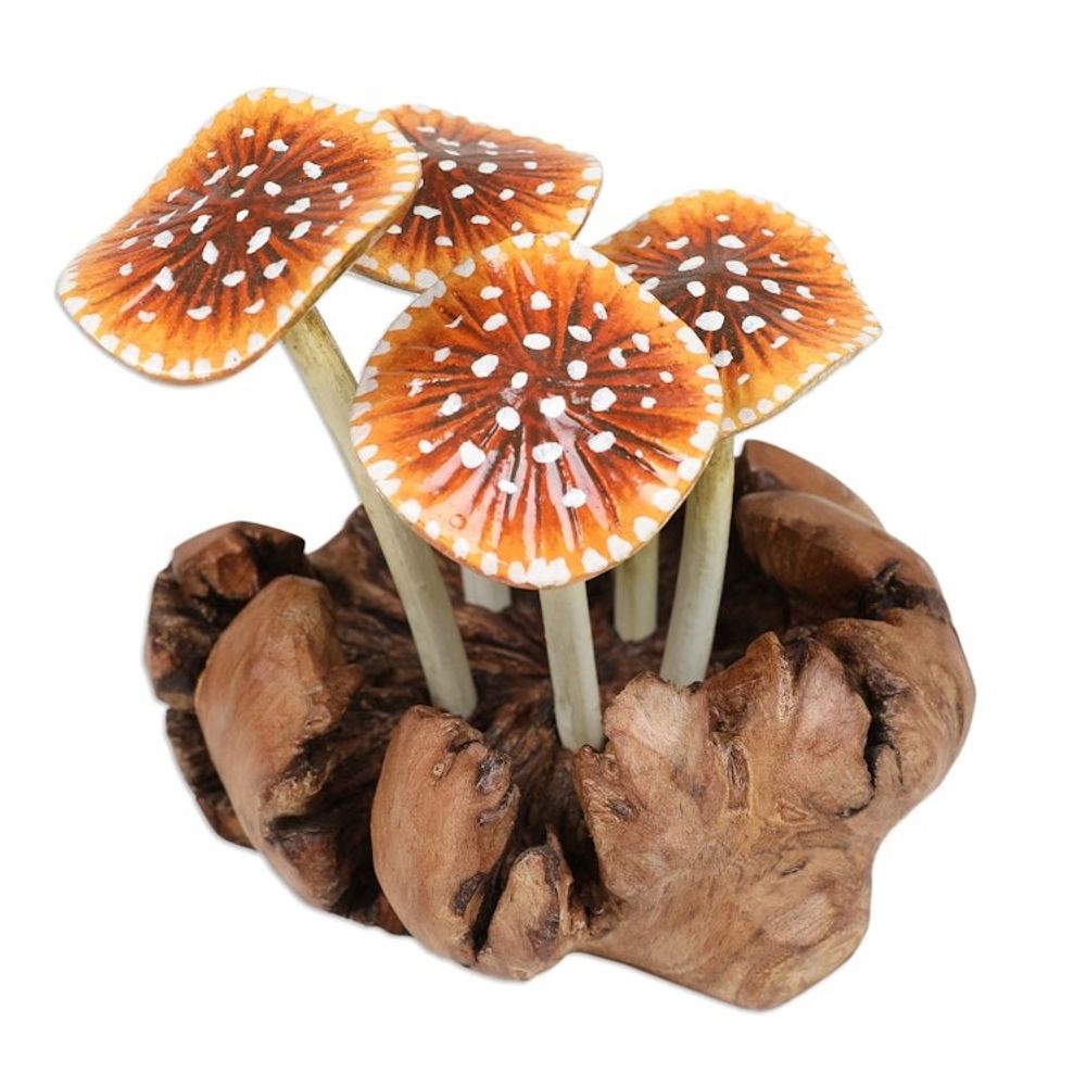 Alternate item image