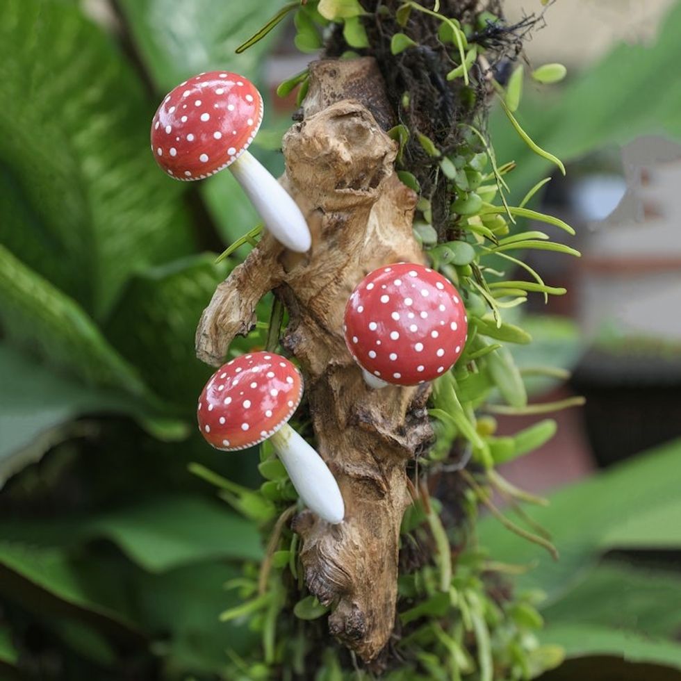 Wood Wall Art with Hand-Painted Mushrooms Crafted in Bali 'Family of Mushrooms'