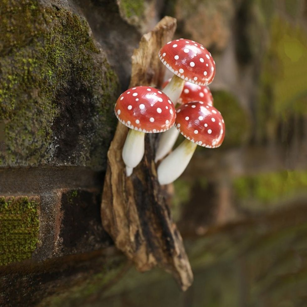 Wood Wall Art with Hand-Painted Mushrooms Made in Bali 'Lovely Mushrooms'