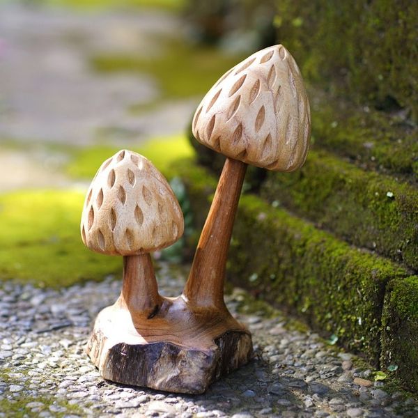 Alternate image for Handmade Jempinis Wood Mushroom Sculpture with Benalu Base Botanical Mushroom