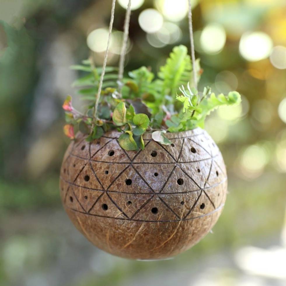 Balinese Hand-Crafted Coconut Shell Hanging Planter 'Raindrops'