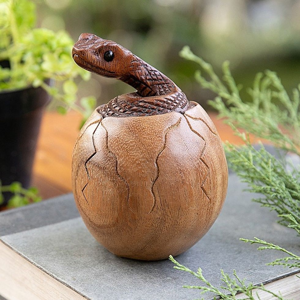 Hand-Carved Natural Suar Wood Sculpture of Hatching Cobra 'The Baby Cobra'