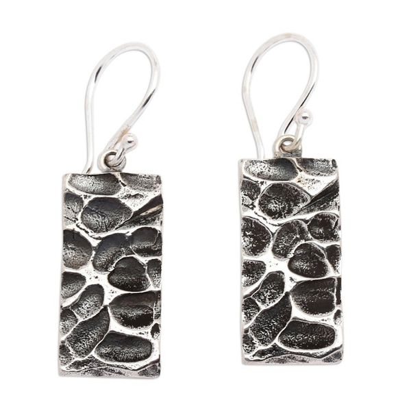 Alternate image for Marine-Themed Textured Sterling Silver Dangle Earrings Reef Portal
