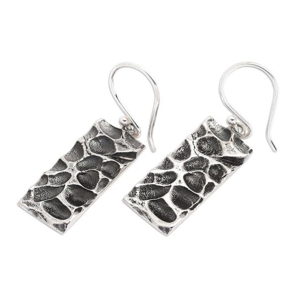 Alternate image for Marine-Themed Textured Sterling Silver Dangle Earrings Reef Portal