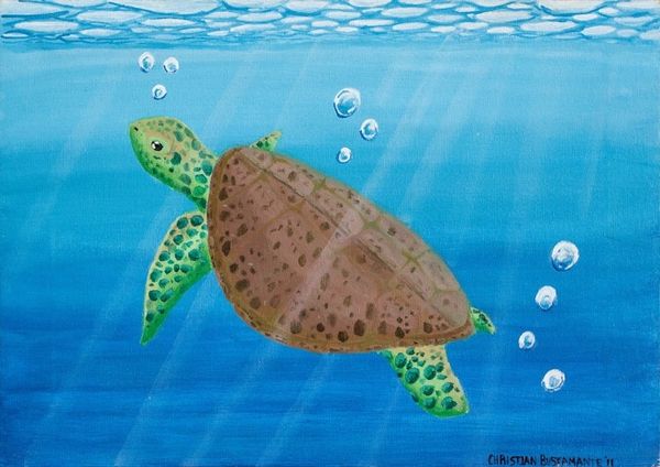 Alternate image for Acrylic on Canvas Painting of a Sea Turtle from El Salvador Lets Save Them