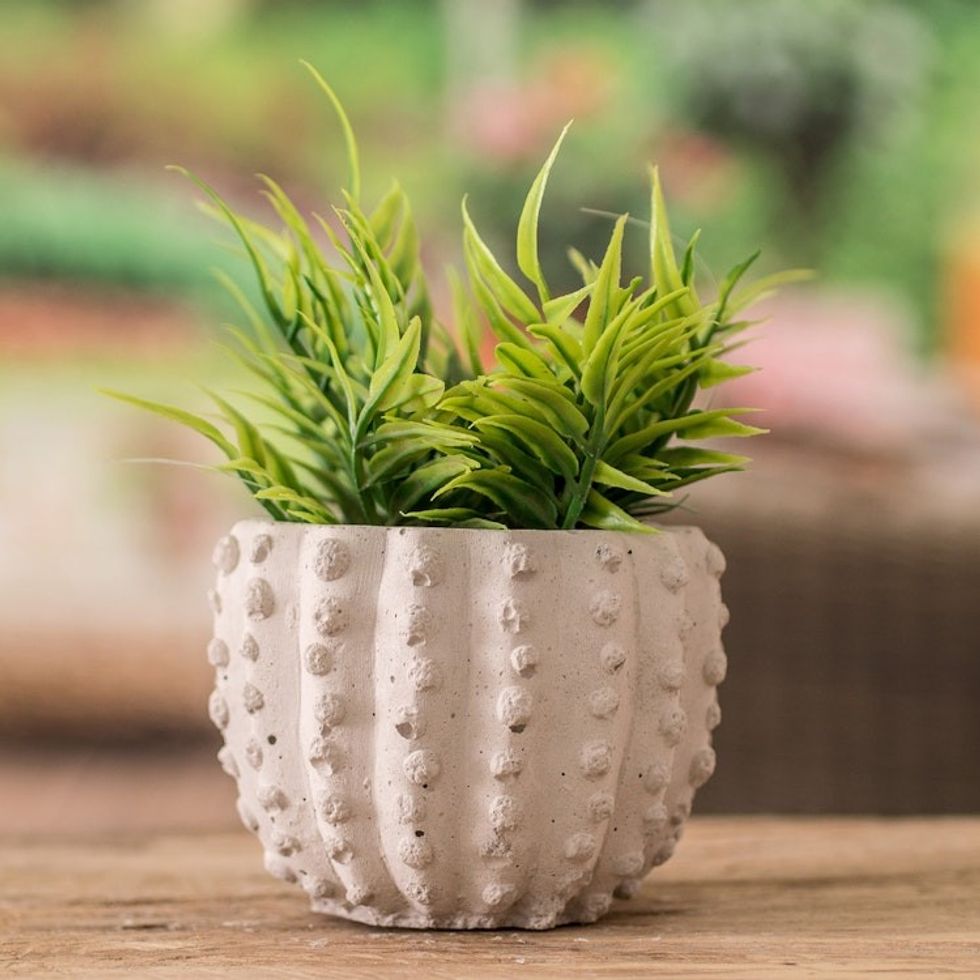 Handcrafted Cactus-Shaped Cement Flower Pot from El Salvador 'Cactus Spaces'
