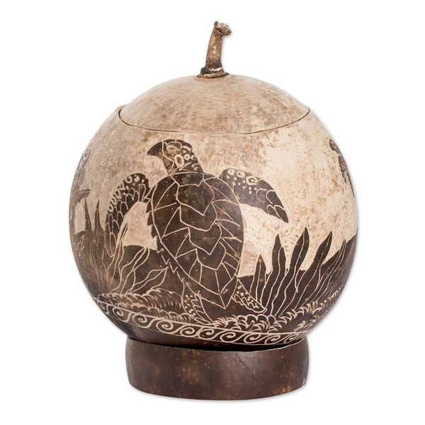 Alternate image for Sea Life-Themed Round Dried Gourd Decorative Accent Seafloor