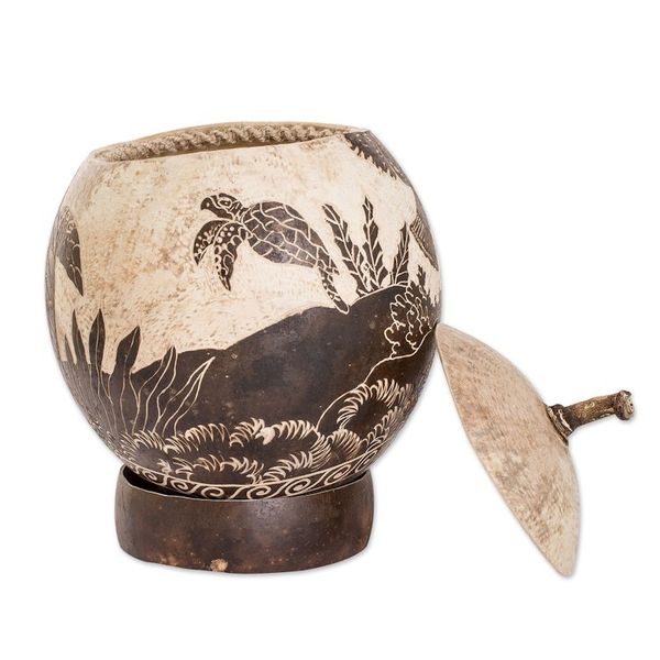 Alternate image for Sea Life-Themed Round Dried Gourd Decorative Accent Seafloor