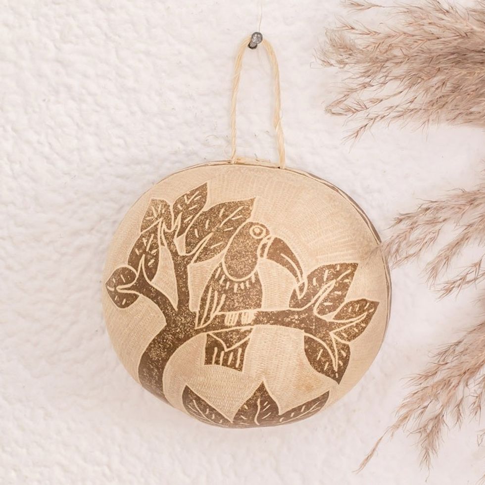 Toucan Wall Art Hand-Carved in Dried Calabash Gourd 'Toucan Magic'
