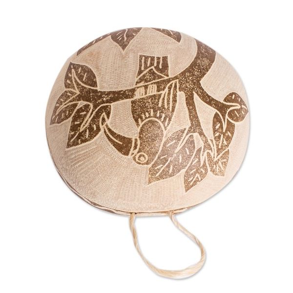 Alternate image for Toucan Wall Art Hand-Carved in Dried Calabash Gourd Toucan Magic