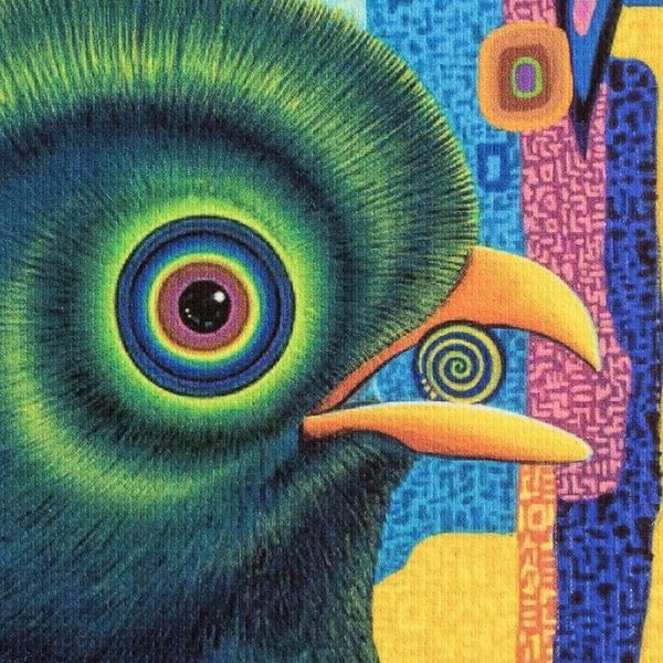 Alternate image for Modern Multicolored Stretched Sublimation Print of A Bird Splendid Quetzal