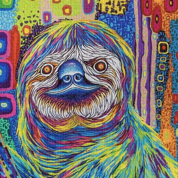 Alternate image for Modern Multicolored Stretched Sublimation Print of A Sloth Colorful Sloth