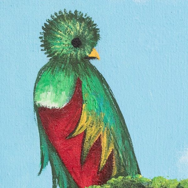 Alternate image for Impressionist Oil Painting of Quetzal Bird in The Forest Beautiful Quetzal