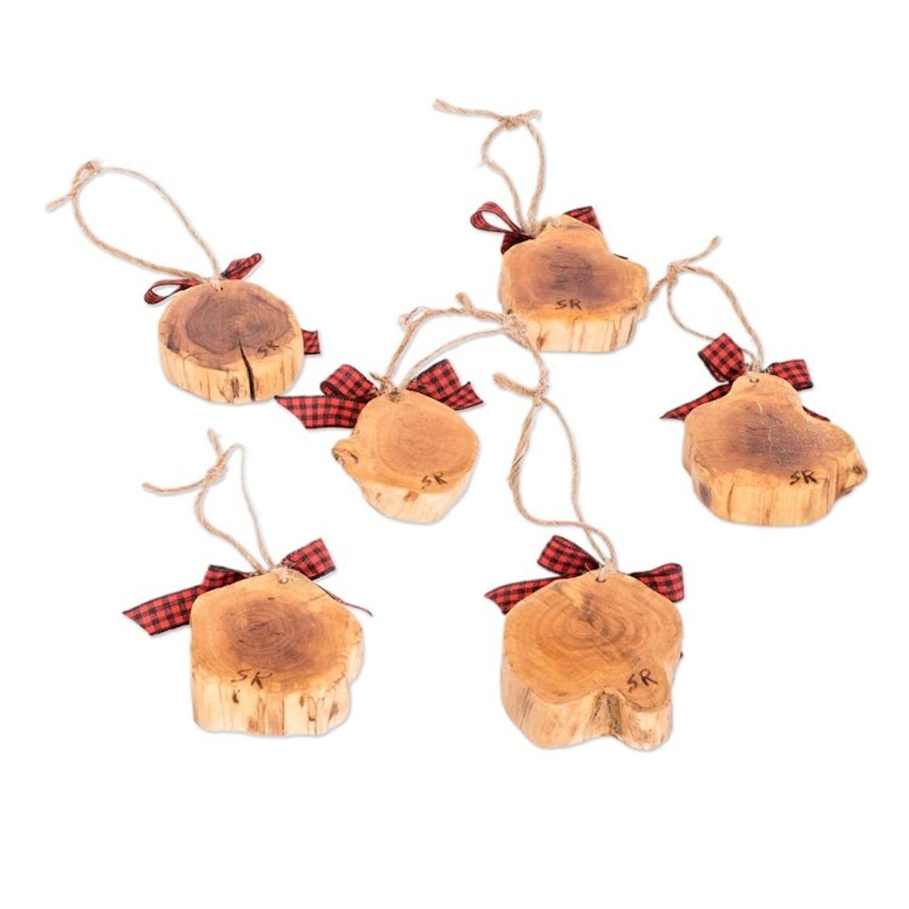 Alternate item image