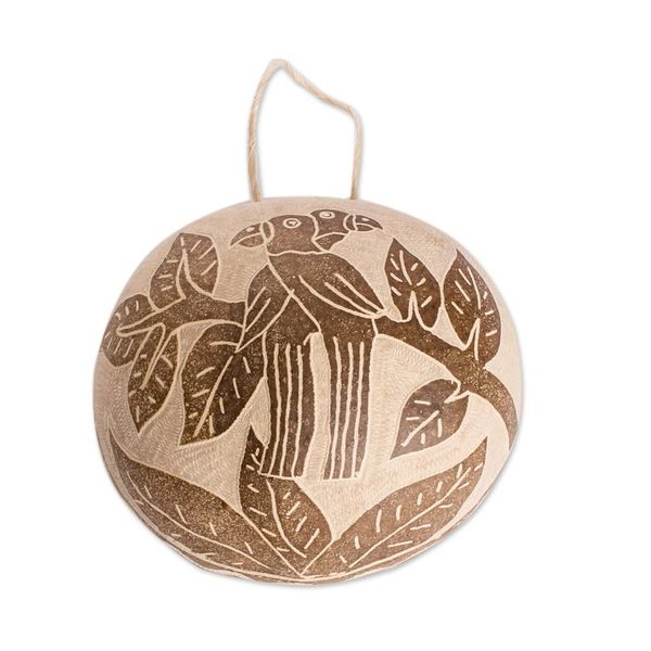 Alternate image for Macaw Wall Accent Hand-Carved in Dried Calabash Gourd Macaw Fantasy