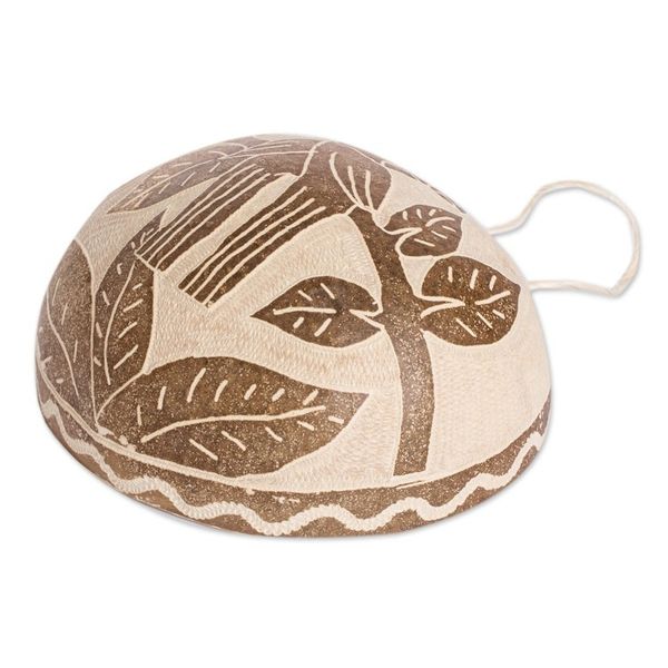 Alternate image for Macaw Wall Accent Hand-Carved in Dried Calabash Gourd Macaw Fantasy