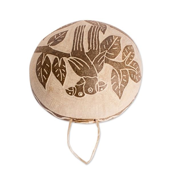Alternate image for Macaw Wall Accent Hand-Carved in Dried Calabash Gourd Macaw Fantasy