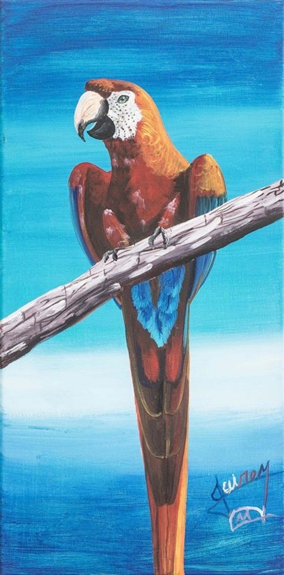 Signed Stretched Acrylic Impressionist Painting in Blue 'Macaw'