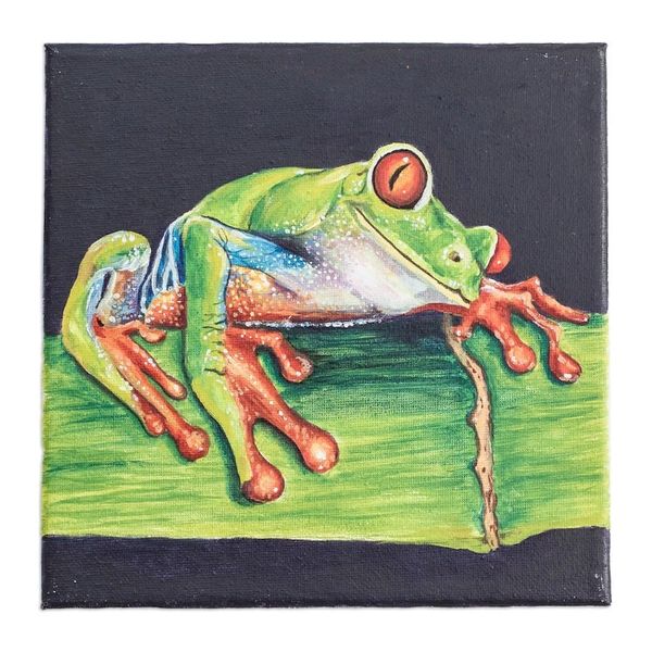Alternate image for Eco-Friendly Acrylic on Canvas Realistic Frog Painting Charming Red-Eyed Tree Frog