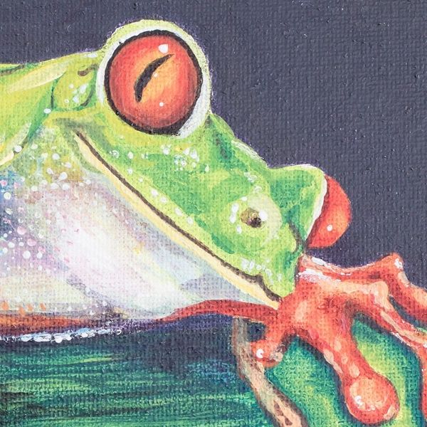 Alternate image for Eco-Friendly Acrylic on Canvas Realistic Frog Painting Charming Red-Eyed Tree Frog