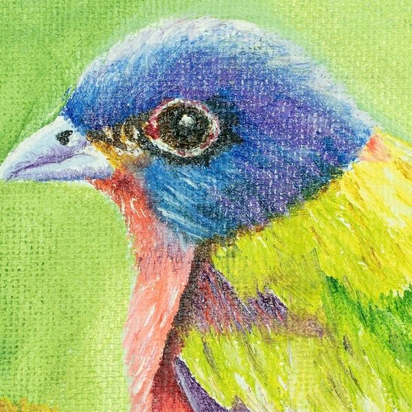 Alternate image for Oil on Canvas Painting of Colorful Bird from Guatemala Still Painted Bunting
