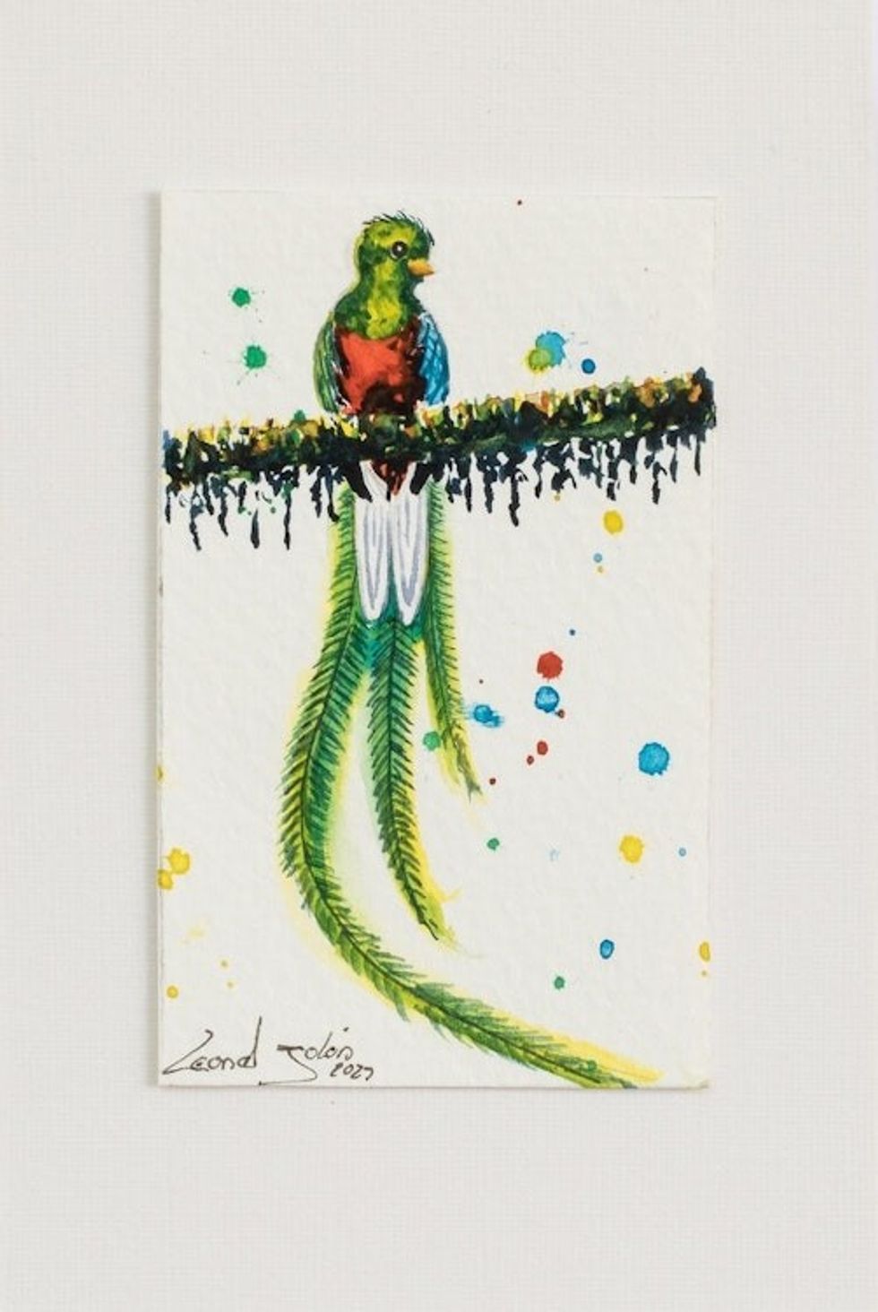 Original Quetzal Watercolor Painting 'Precious Quetzal'