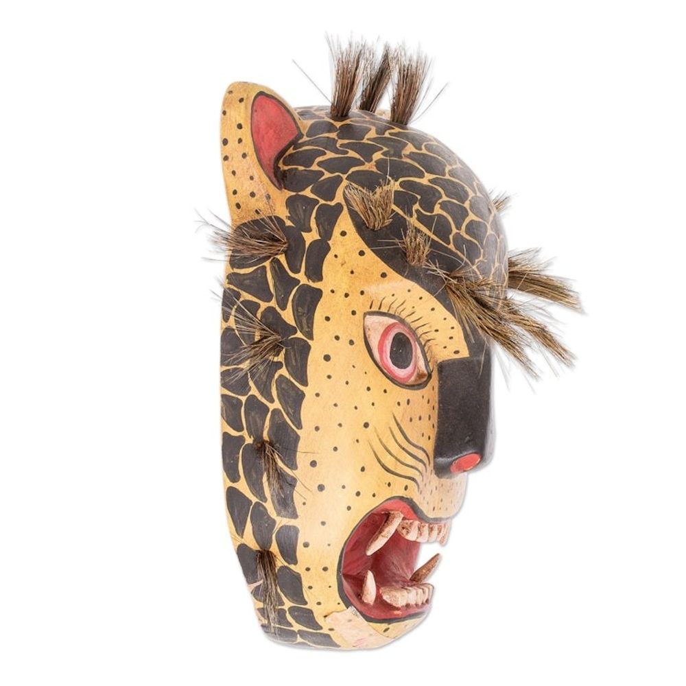 Alternate item image