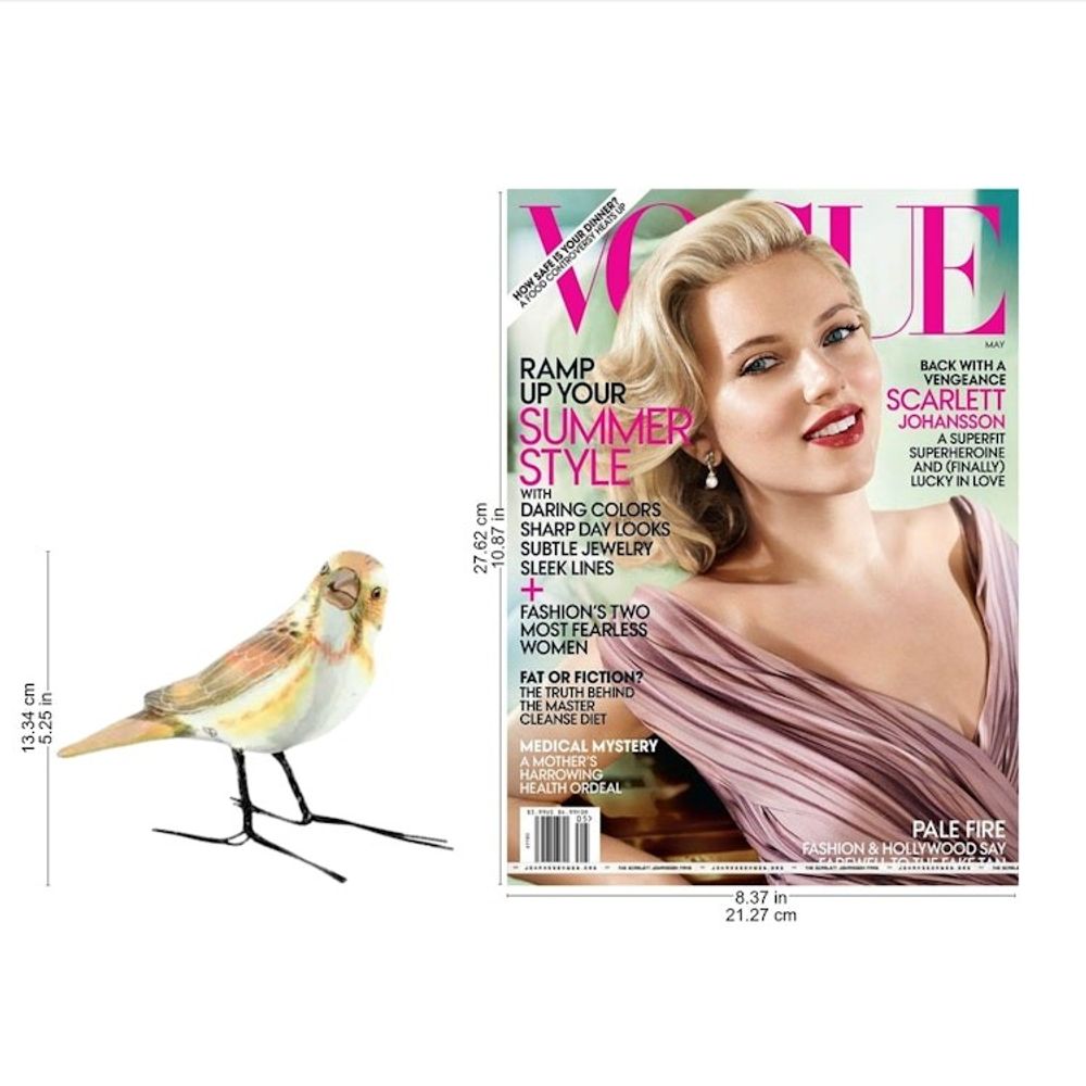 Alternate item image