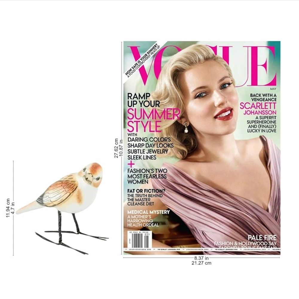 Alternate item image