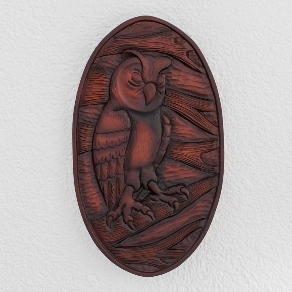 Owl-Themed Pochote Wood Relief Panel from Costa Rica 'Owl Watcher'