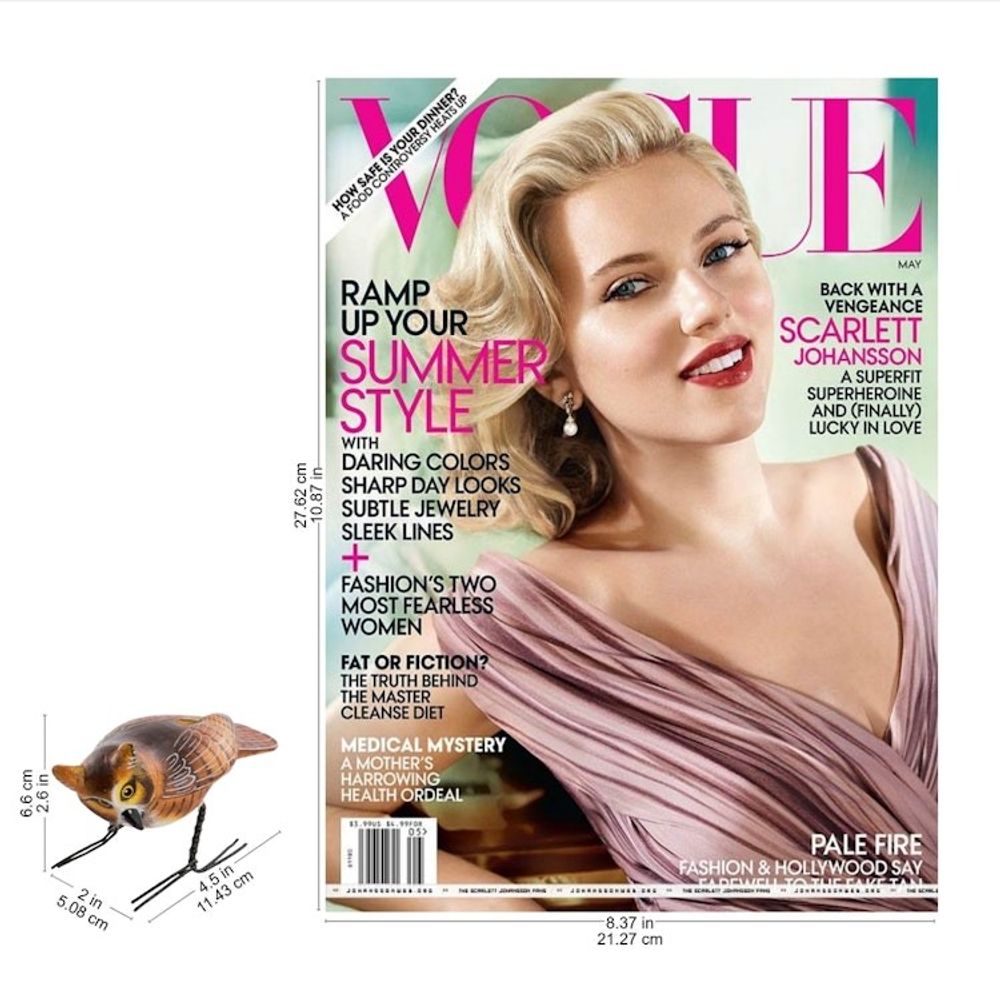 Alternate item image