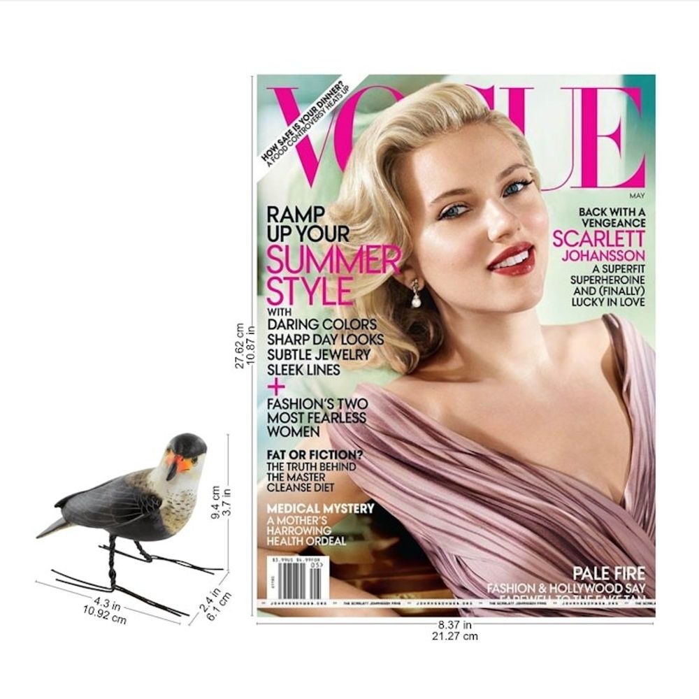 Alternate item image