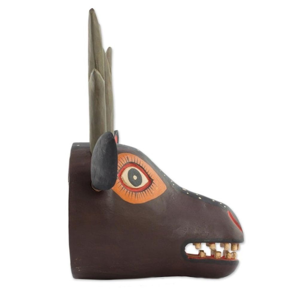 Alternate item image