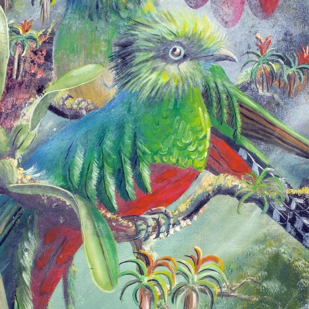 Alternate item image