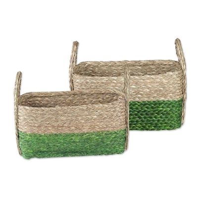 Alternate image for Handwoven Set of 2 Green and Beige Sabai Grass Fiber Baskets Green Call